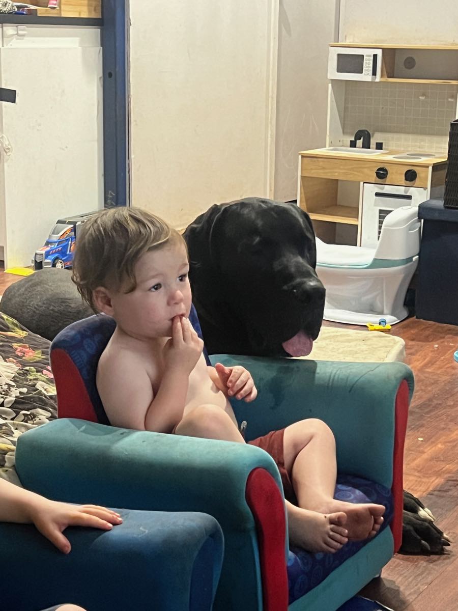 Rhys's twin boys Axel and Archer