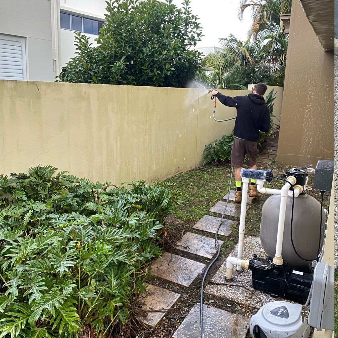 Low-pressure soft washing on a Gold Coast property - safe for painted and rendered surfaces